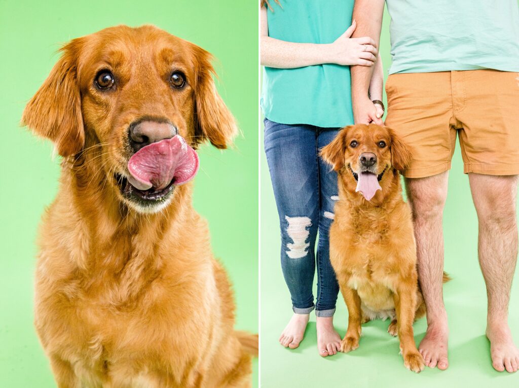Sadie & Yoshi Pickles - The Beloved Pup Photo Studio Birmingham, Alabama Dog Photographer 