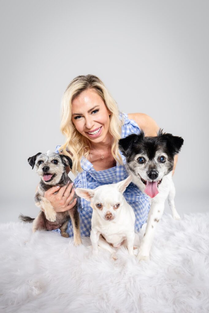 Tofu the Chihuahua and Siblings - The Beloved Pup Photo Studio Alabama Dog Photographer